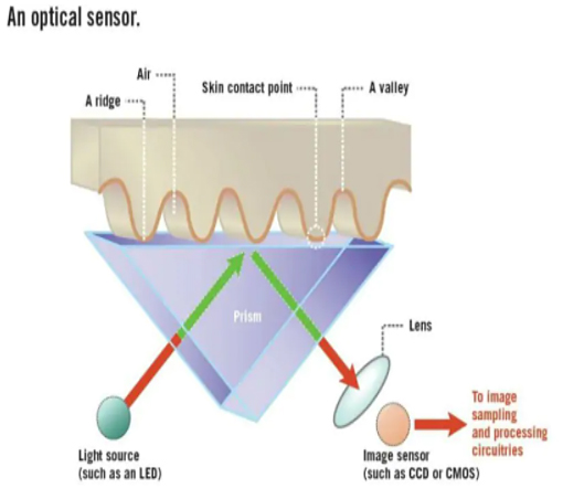 光學(xué)指紋傳感器原理